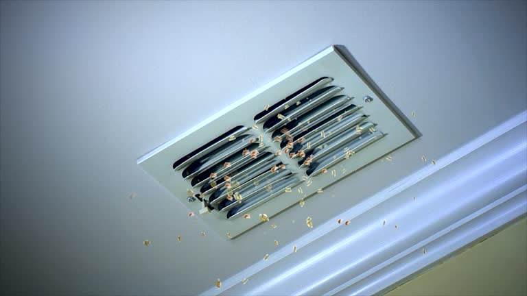 Best Air Vent Cleaning Services  in Westwood Lakes, FL